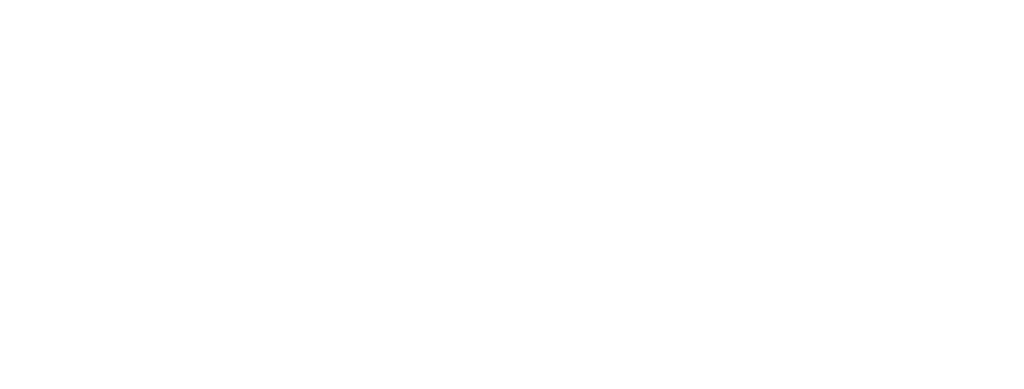 Logo PLiiV White